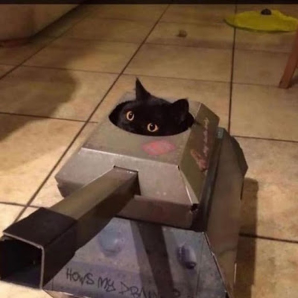 Meet your Posher, Darth - Picture 1 of 1